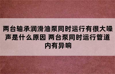 两台轴承润滑油泵同时运行有很大噪声是什么原因 两台泵同时运行管道内有异响